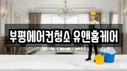 인천광역시 부평구 청천동 청소,입주청소,사무실청소,에어컨청소,특수청소,상가청소,거주청소,유품정리