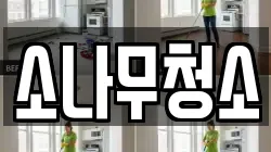 소나무청소