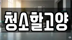 청소할고양