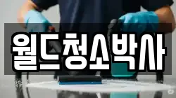 월드청소박사