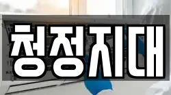청정지대