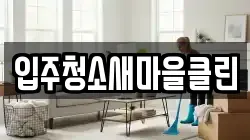 입주청소새마을클린