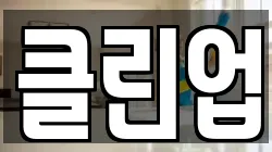 클린업
