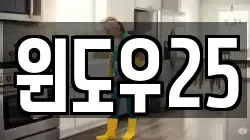 윈도우25