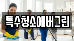 특수청소에버그린