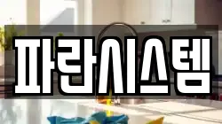 파란시스템