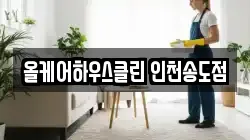 올케어하우스클린 인천송도점
