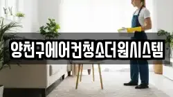 인천광역시 옹진군 백령면 청소,입주청소,사무실청소,에어컨청소,특수청소,상가청소,거주청소,유품정리