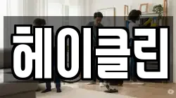 헤이클린