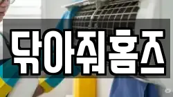 닦아줘홈즈