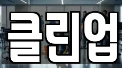 클린업