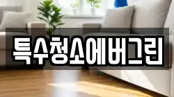 특수청소에버그린