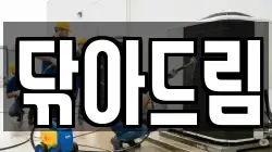 닦아드림