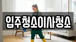 입주청소이사청소