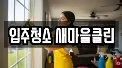 입주청소 새마을클린
