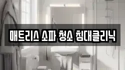 매트리스 소파 청소 침대클리닉