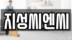 지성씨엔씨