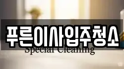 푸른이사입주청소