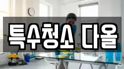 특수청소 다올