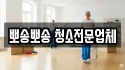 뽀송뽀송 청소전문업체