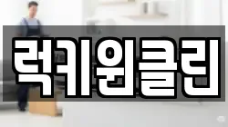 럭키윈클린