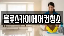 블루스카이에어컨청소