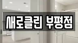 새로클린 부평점
