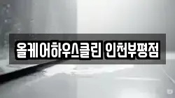 올케어하우스클린 인천부평점