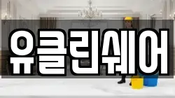 유클린쉐어