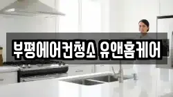 인천 부평구 청천동 청소,입주청소,사무실청소,에어컨청소,특수청소,상가청소,거주청소,유품정리