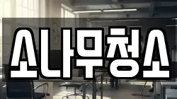 소나무청소