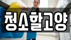청소할고양