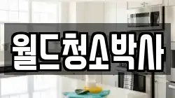 월드청소박사