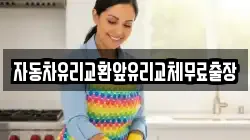 자동차유리교환앞유리교체무료출장