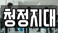 청정지대