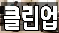 클린업