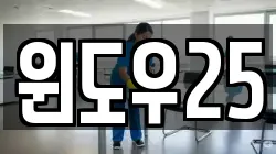 윈도우25