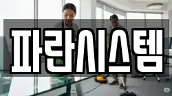 파란시스템
