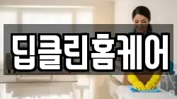 딥클린홈케어