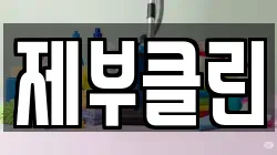 제부클린