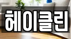 헤이클린