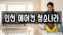 인천 에어컨 청소나라