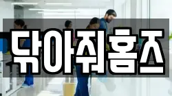 닦아줘홈즈