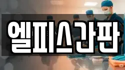 엘피스간판