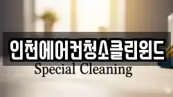 인천에어컨청소클린윈드