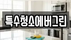 특수청소에버그린
