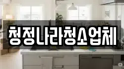 청정나라청소업체