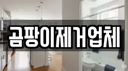 곰팡이제거업체