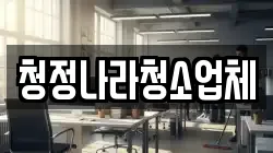 청정나라청소업체