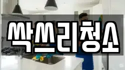 싹쓰리청소